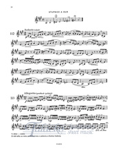H 4313_3.jpg